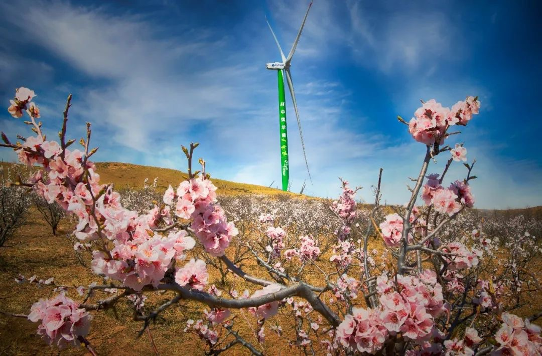 AGGAME·(中国区)集团官方网站