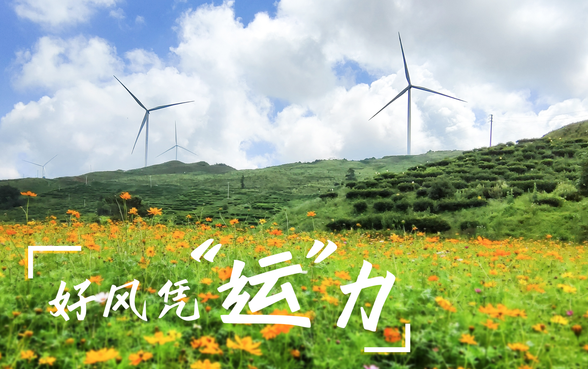 【好风凭“运”力】“大风车”转出墟落振兴新路子